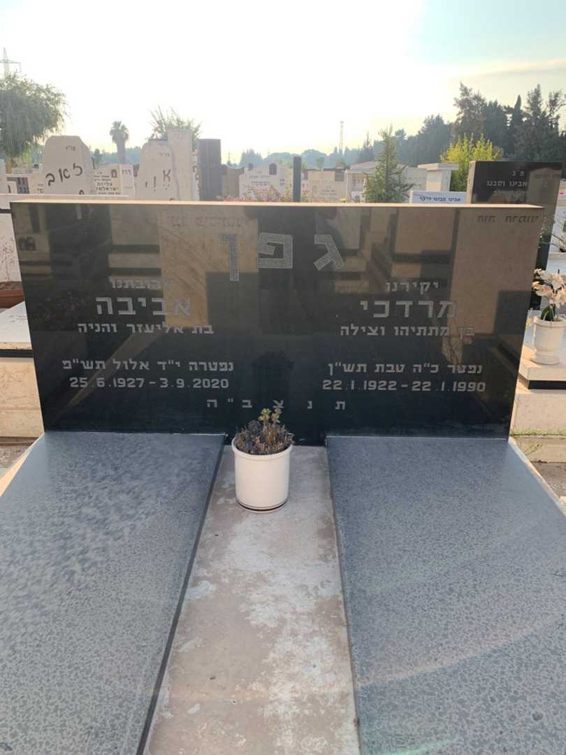 קברו של אביבה גפן. תמונה 1