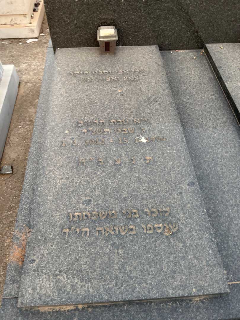 קברו של יצחק גרבר. תמונה 1