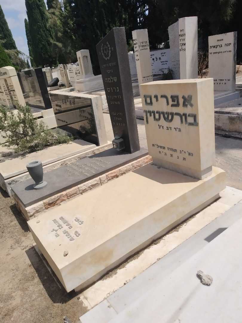 קברו של אפרים בורשטין