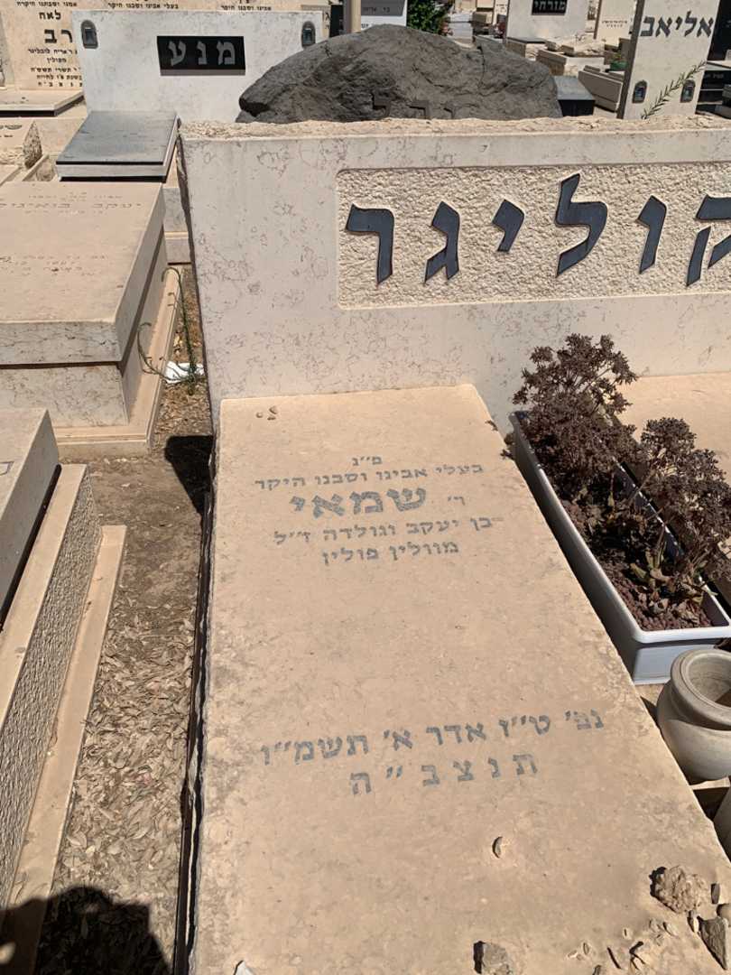 קברו של שמאי קוליגר. תמונה 2