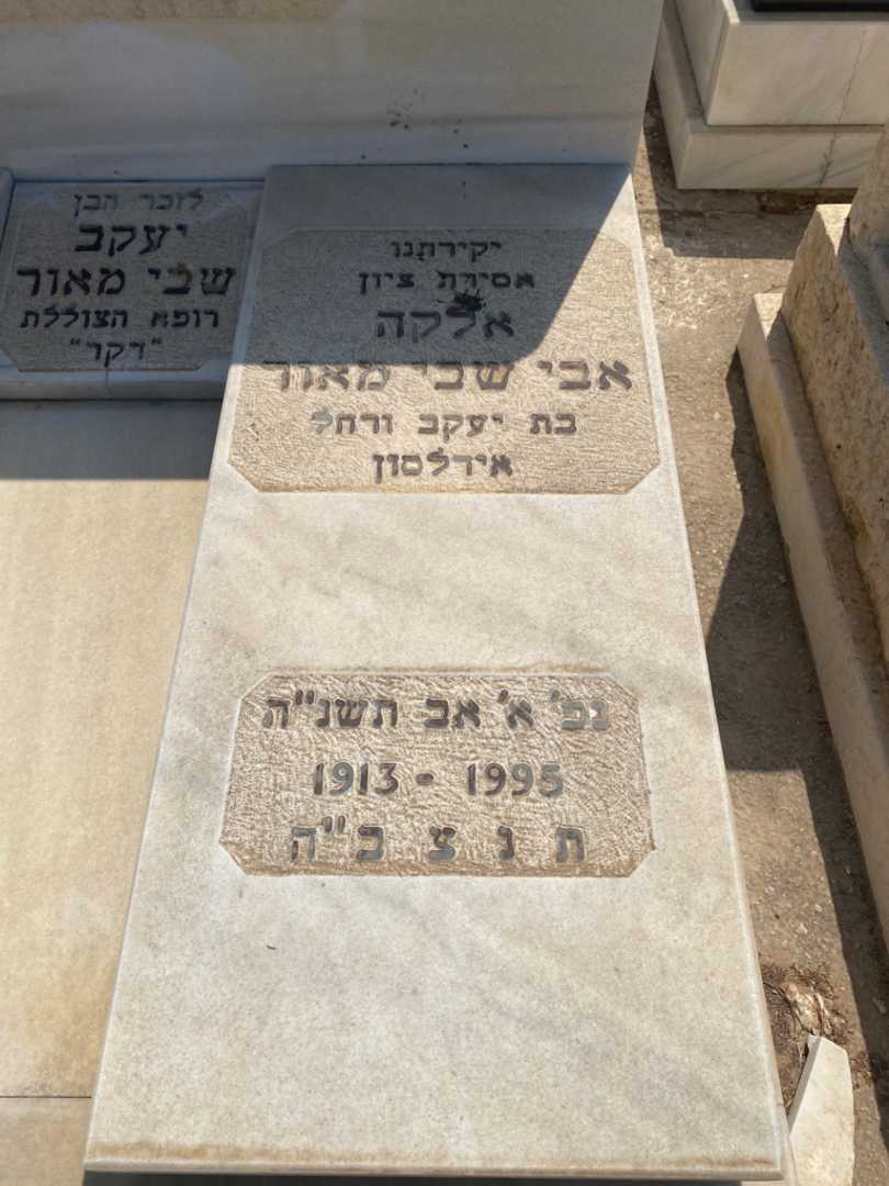 קברו של אלקה אבי שבי מאור (פולרביץ). תמונה 1