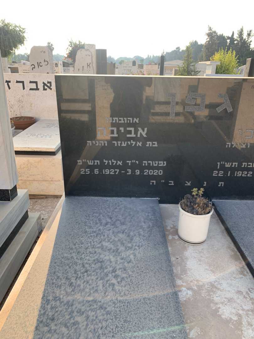 קברו של אביבה גפן. תמונה 2