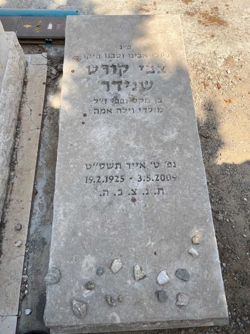 קברו של צבי קורט שניידר