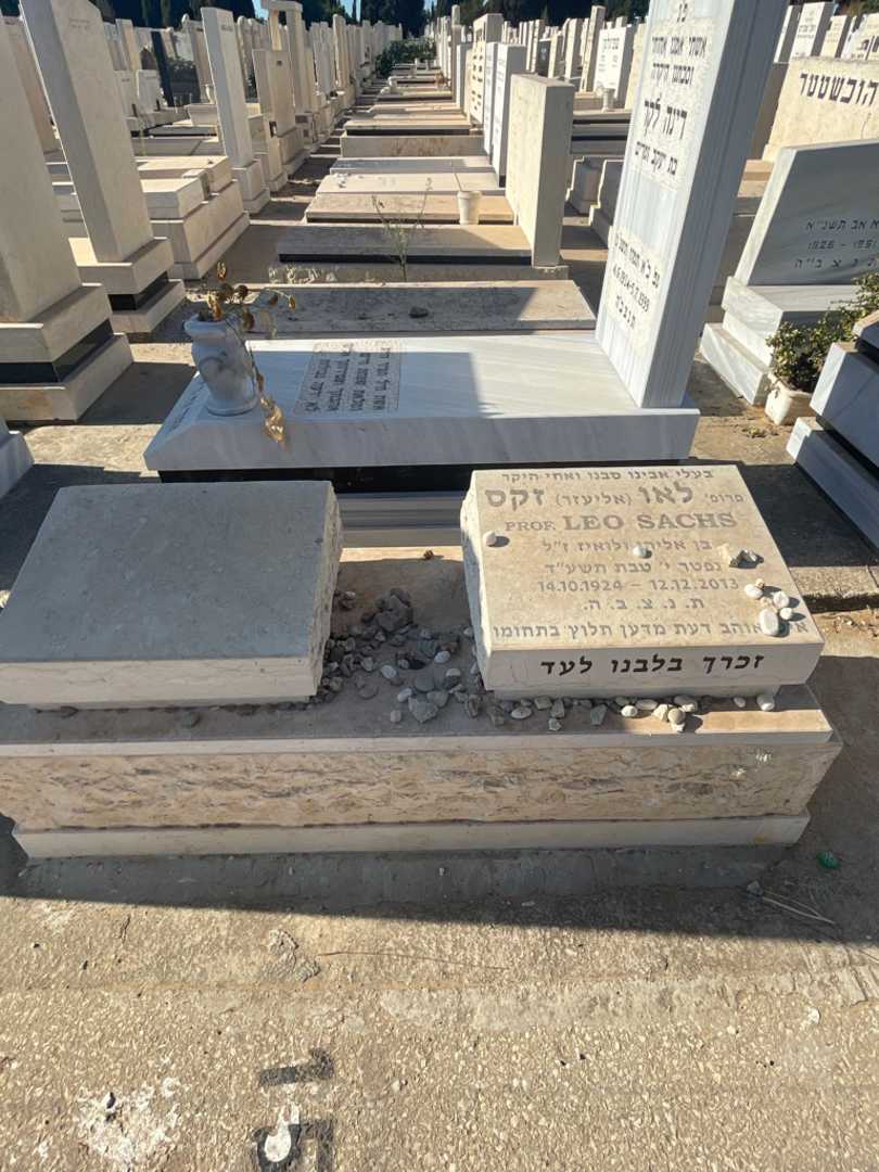 קברו של לאו "אליעזר" זקס
