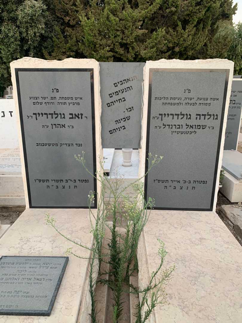 קברו של צירל גוטרמן. תמונה 1