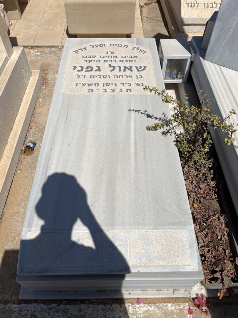 קברו של שאול גפני. תמונה 1