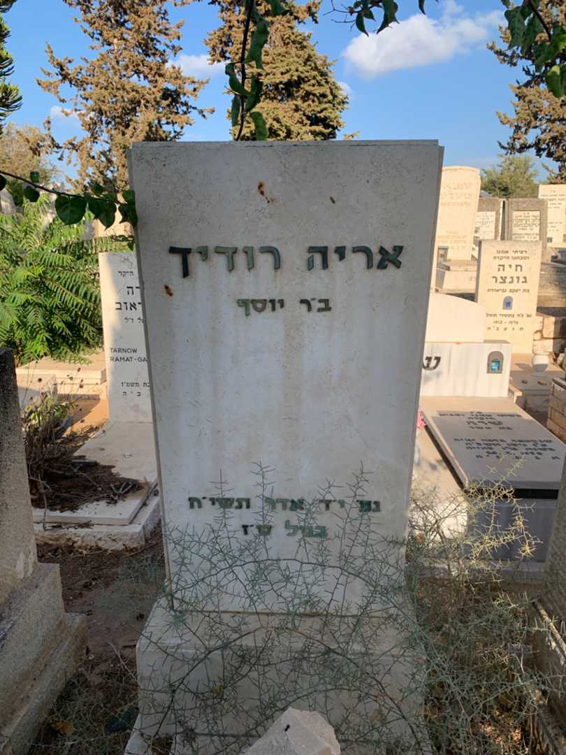 קברו של אריה רוזיך