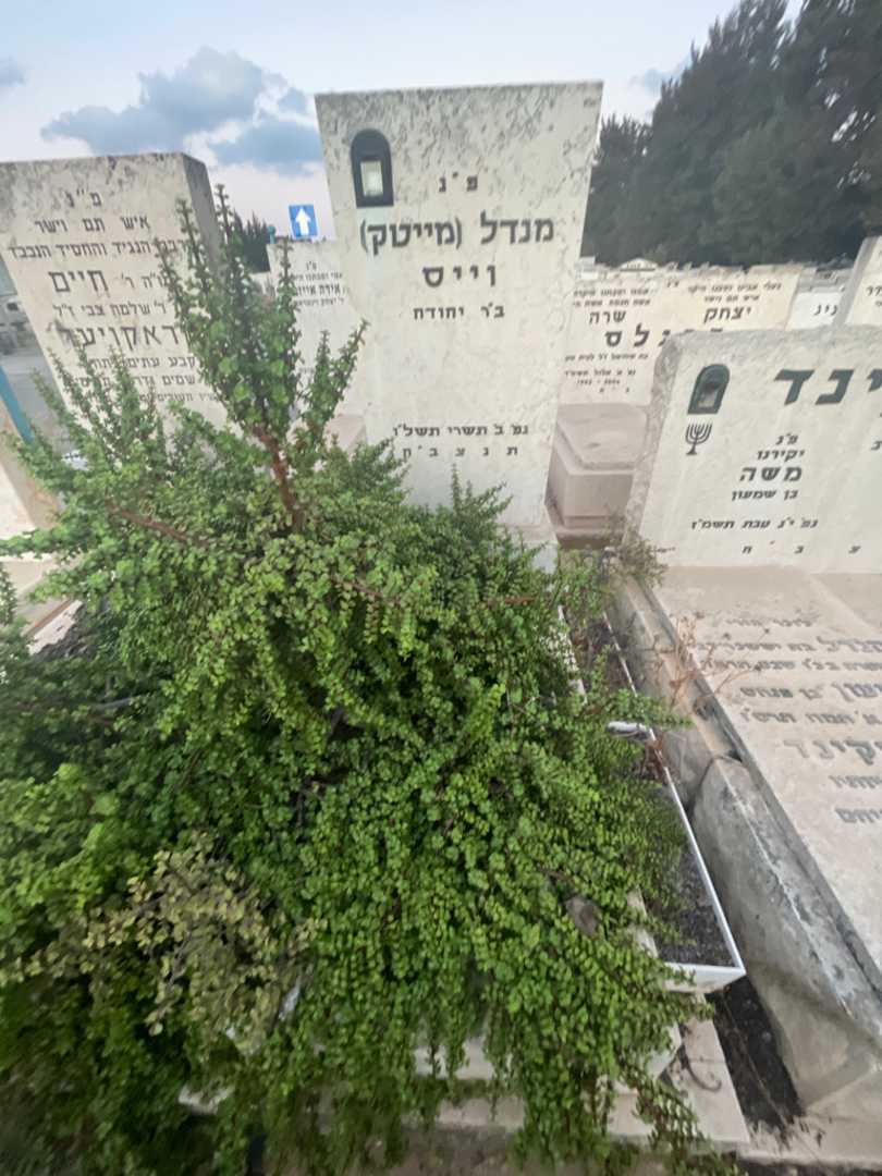קברו של מנדל "מייטק" וייס