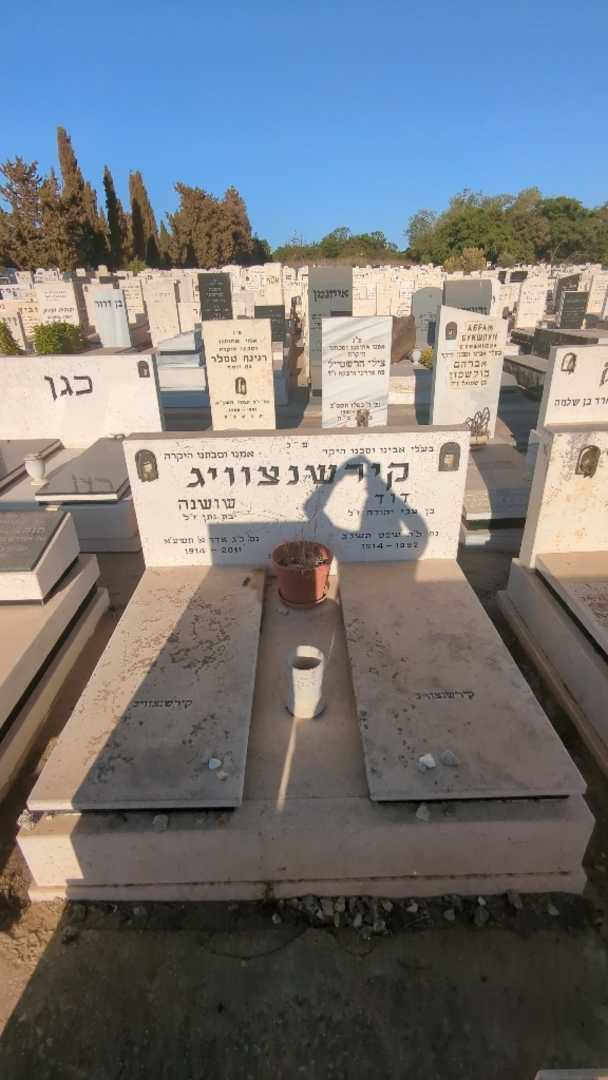 קברו של שושנה קירשנצוויג. תמונה 2