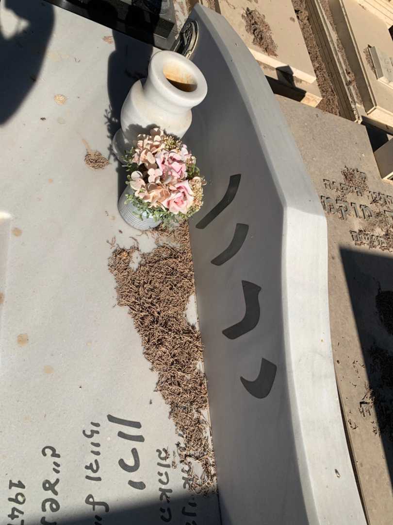 קברו של עזרא ירון. תמונה 3