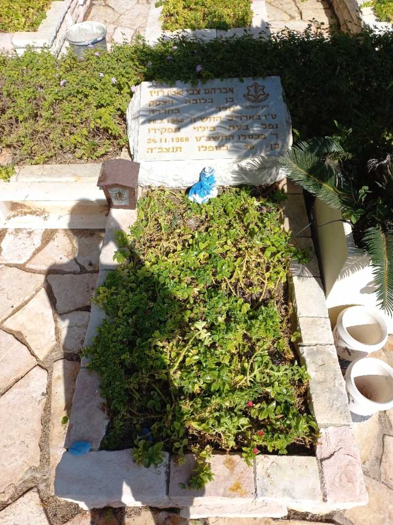 קברו של אברהם צבי "אבי" רויז