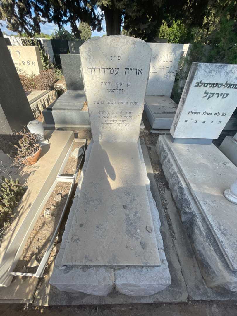 קברו של אריה עמידרור