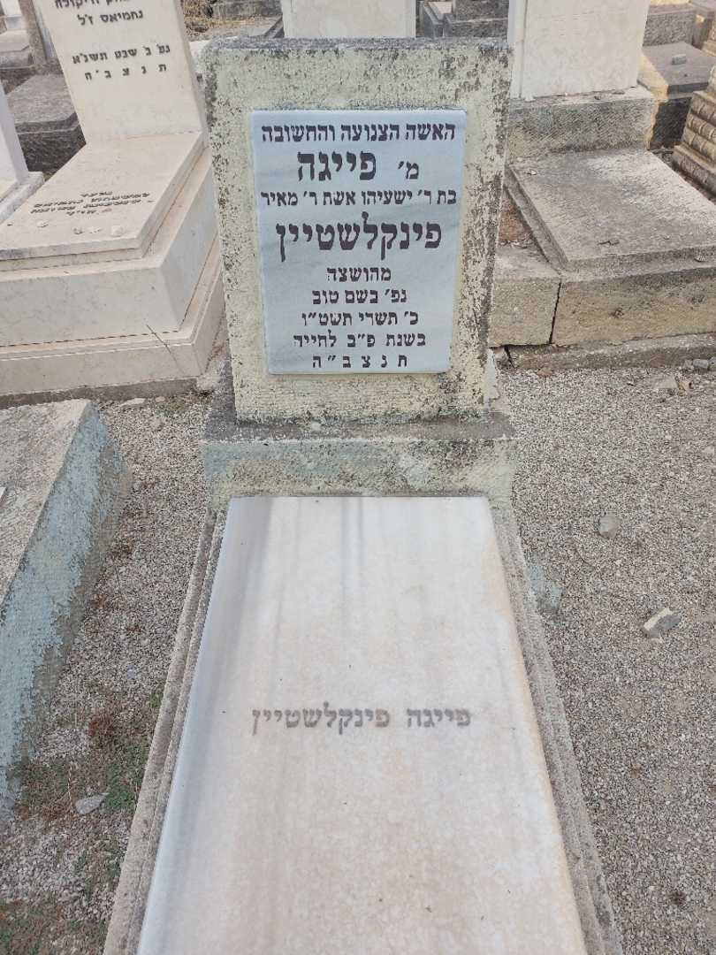קברו של פייגה פינקלשטיין