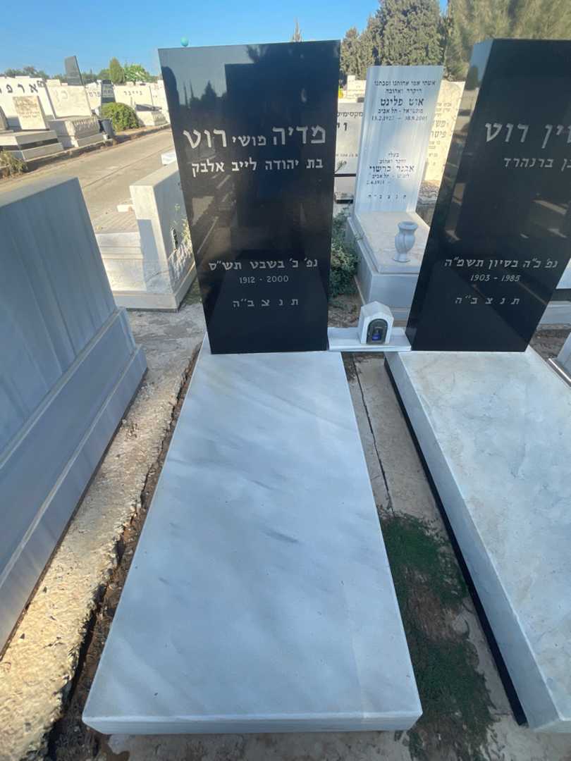קברו של מדיה "מושי" רוט. תמונה 2