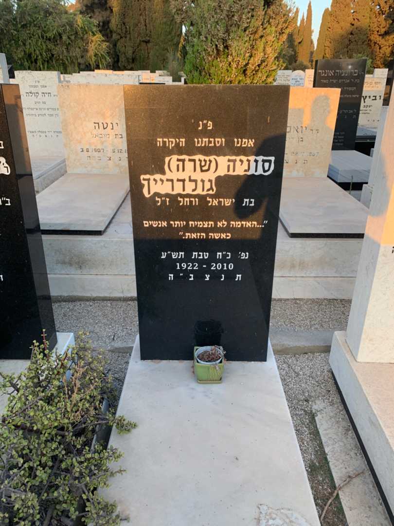 קברו של סוניה "שרה" גולדרייך