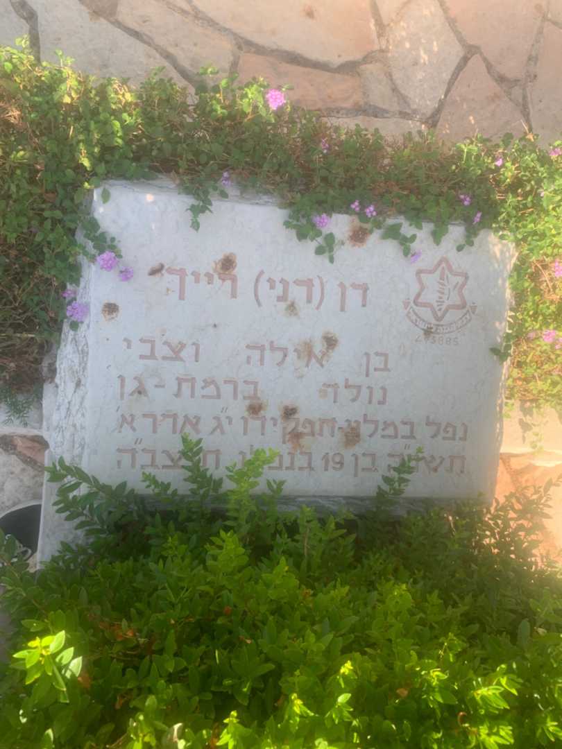 קברו של דן "דני" רייך