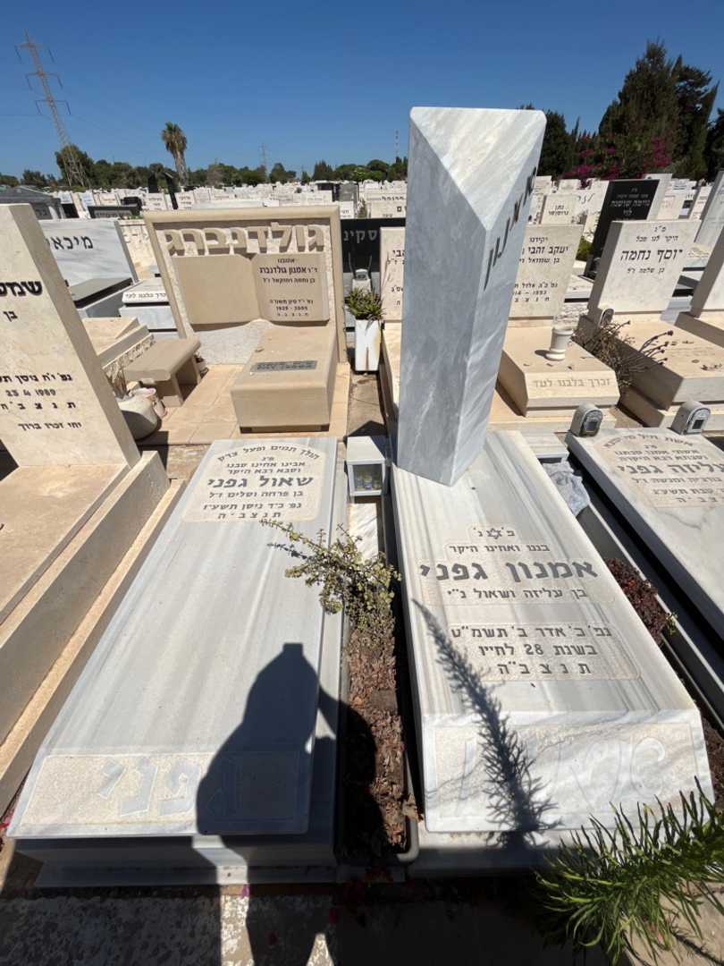 קברו של שאול גפני. תמונה 2