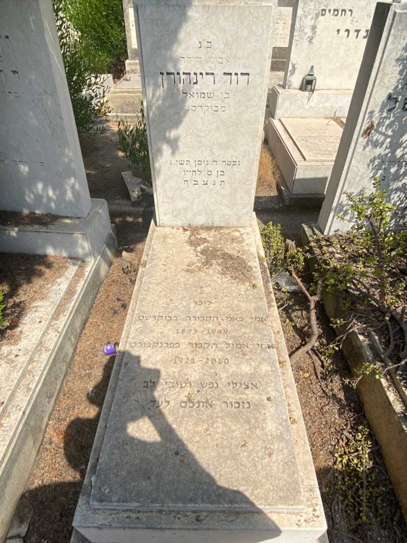 קברו של דוד רינהורן