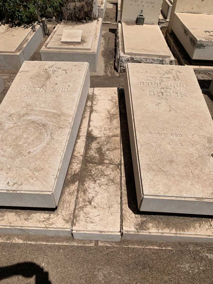 קברו של יעקב יהודה אלבוים. תמונה 1