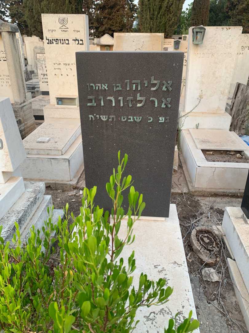 קברו של אליהו ארלזורוב