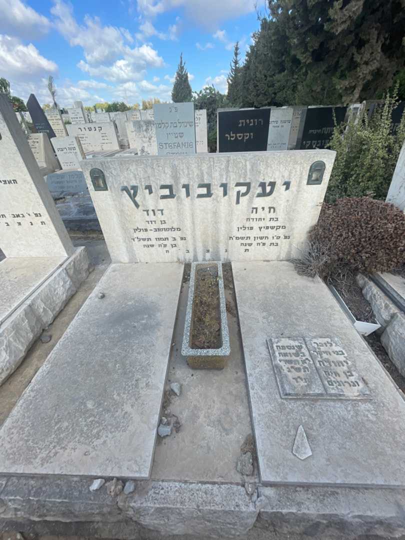 קברו של דוד יעקובוביץ. תמונה 1