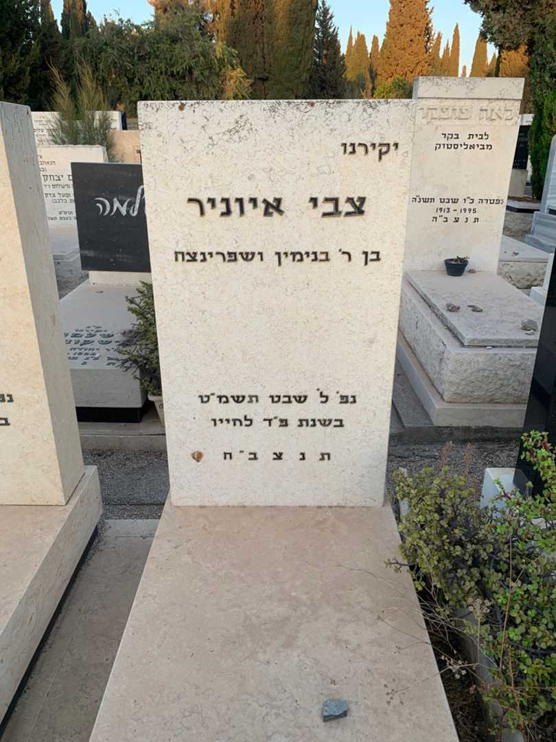 קברו של צבי איוניר