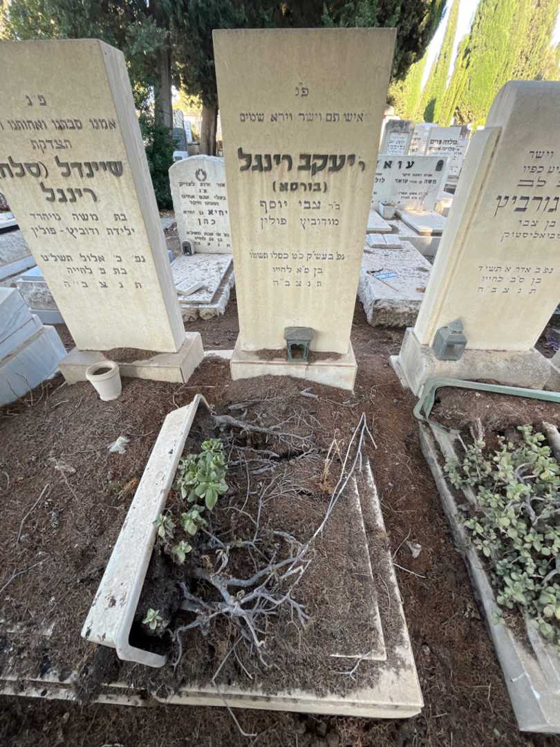 קברו של יעקב "בורסא" רינגל בורסא. תמונה 1
