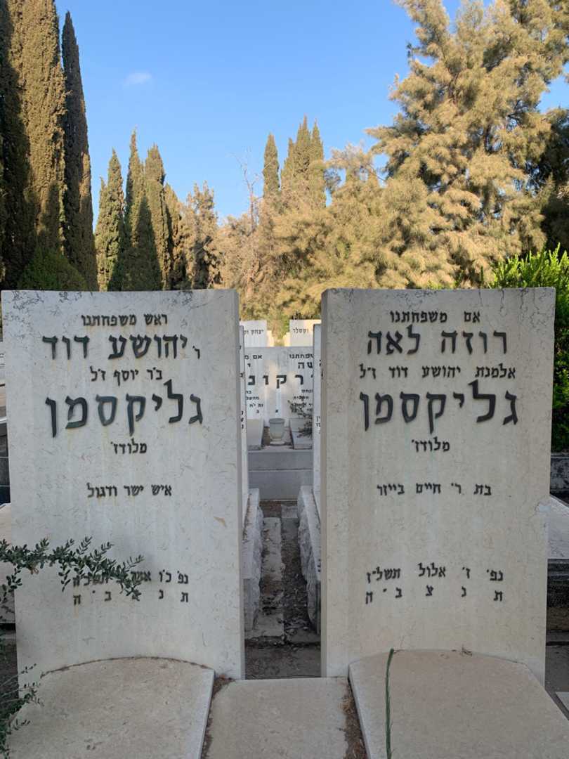 קברו של רוזה לאה גליקסמן. תמונה 1