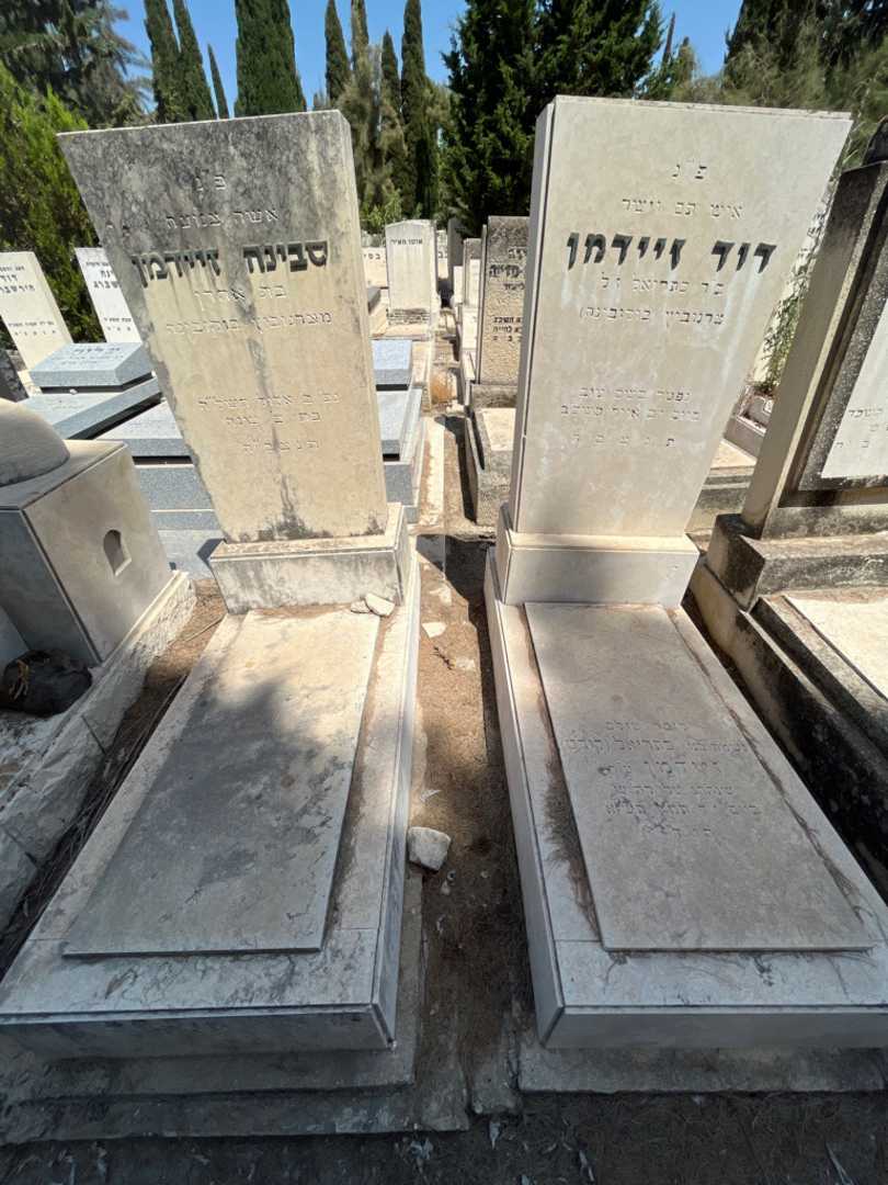 קברו של דוד זיידמן. תמונה 2