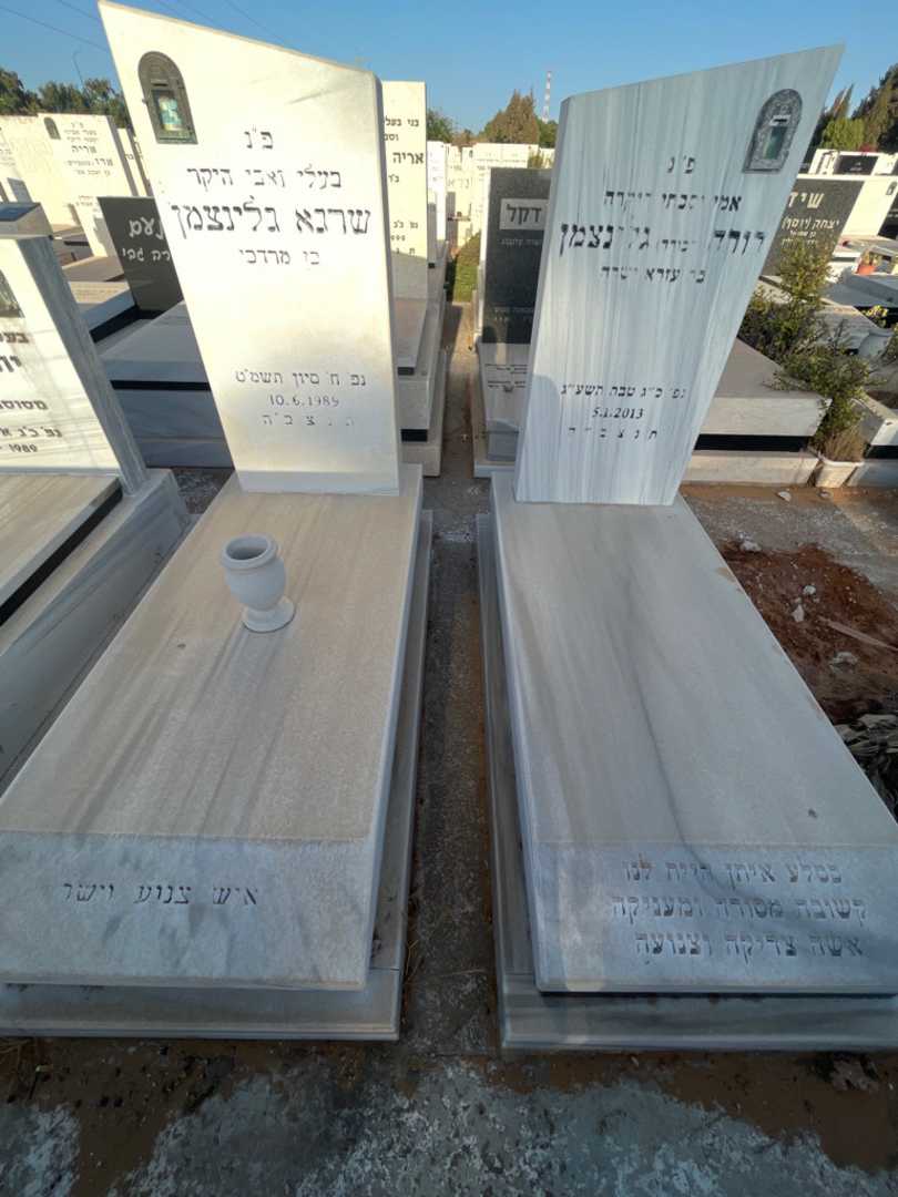 קברו של דורה "דבורה" גלינצמן. תמונה 2