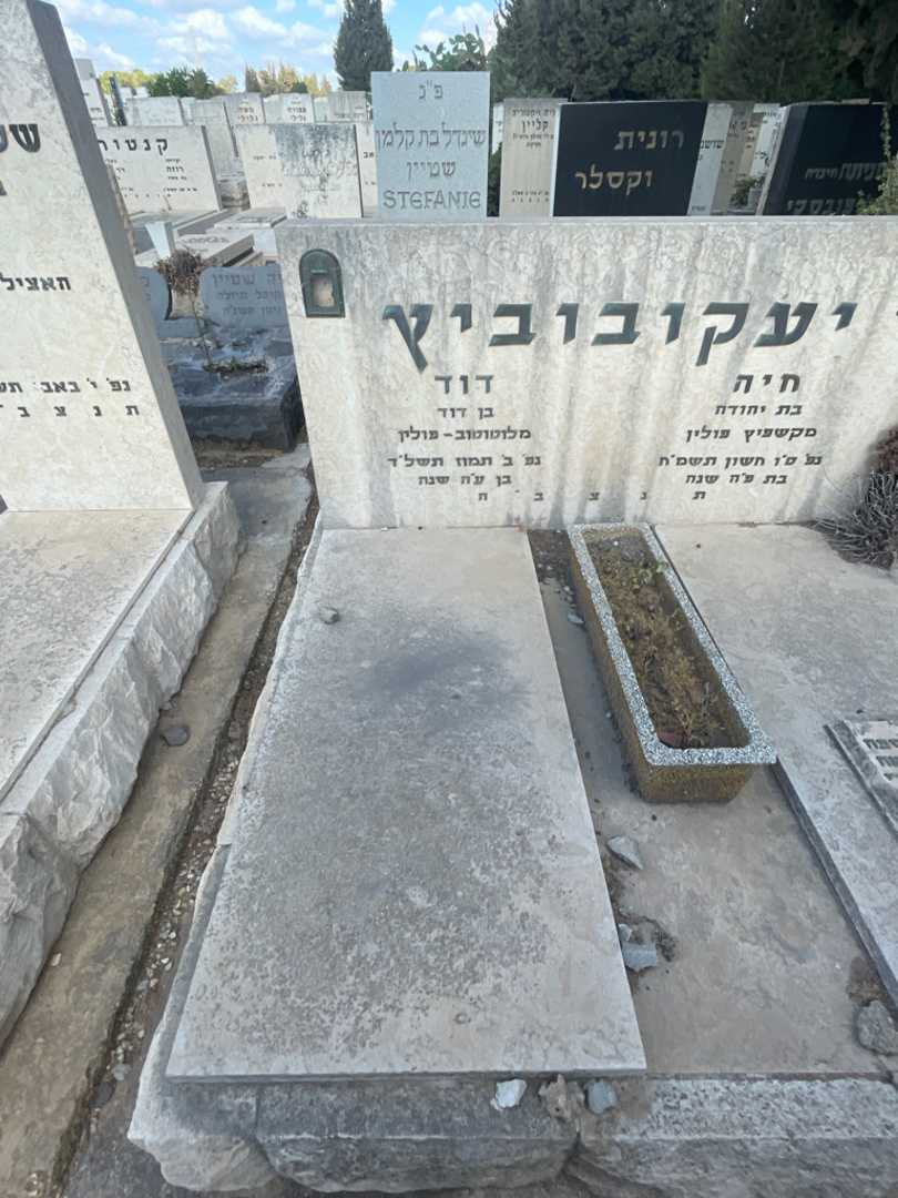 קברו של דוד יעקובוביץ. תמונה 2