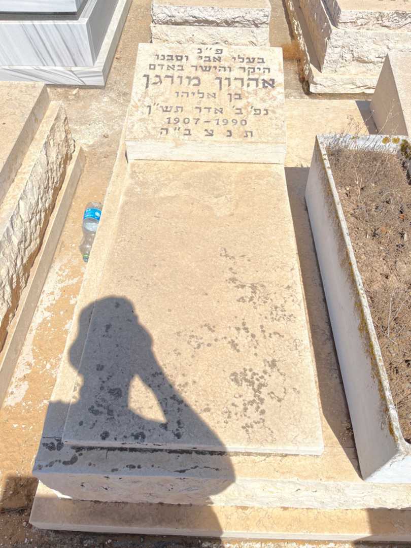 קברו של אהרון מורגן. תמונה 1