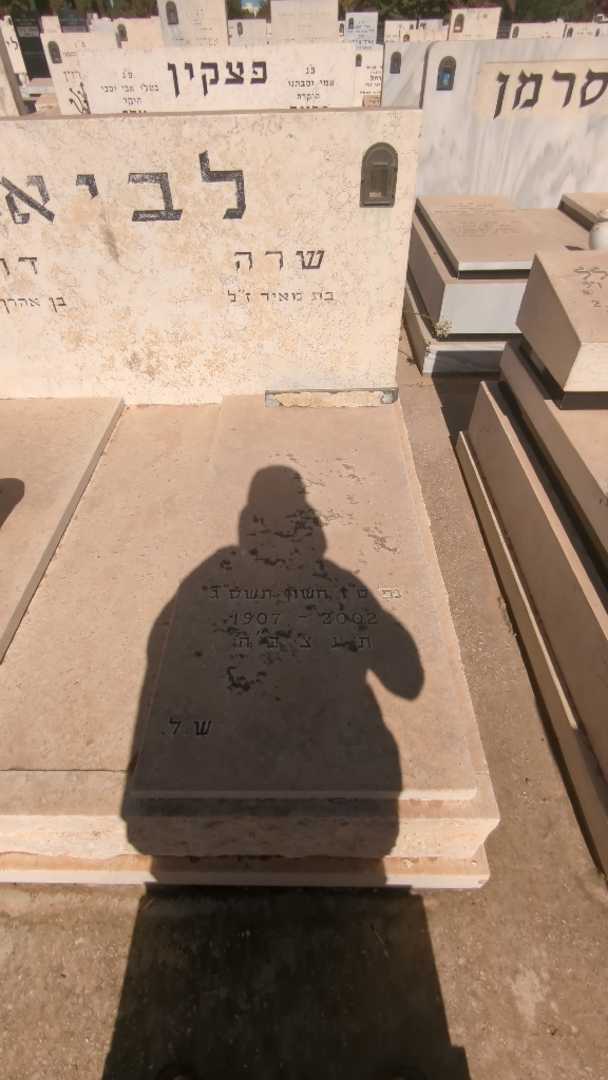 קברו של שרה לביא. תמונה 1