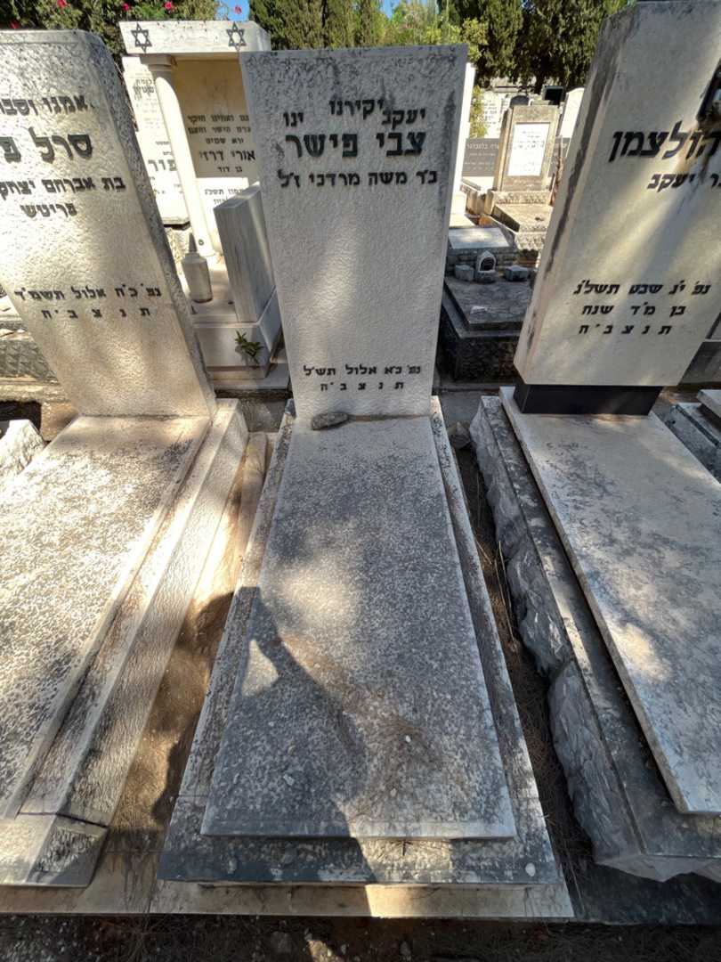 קברו של צבי פישר
