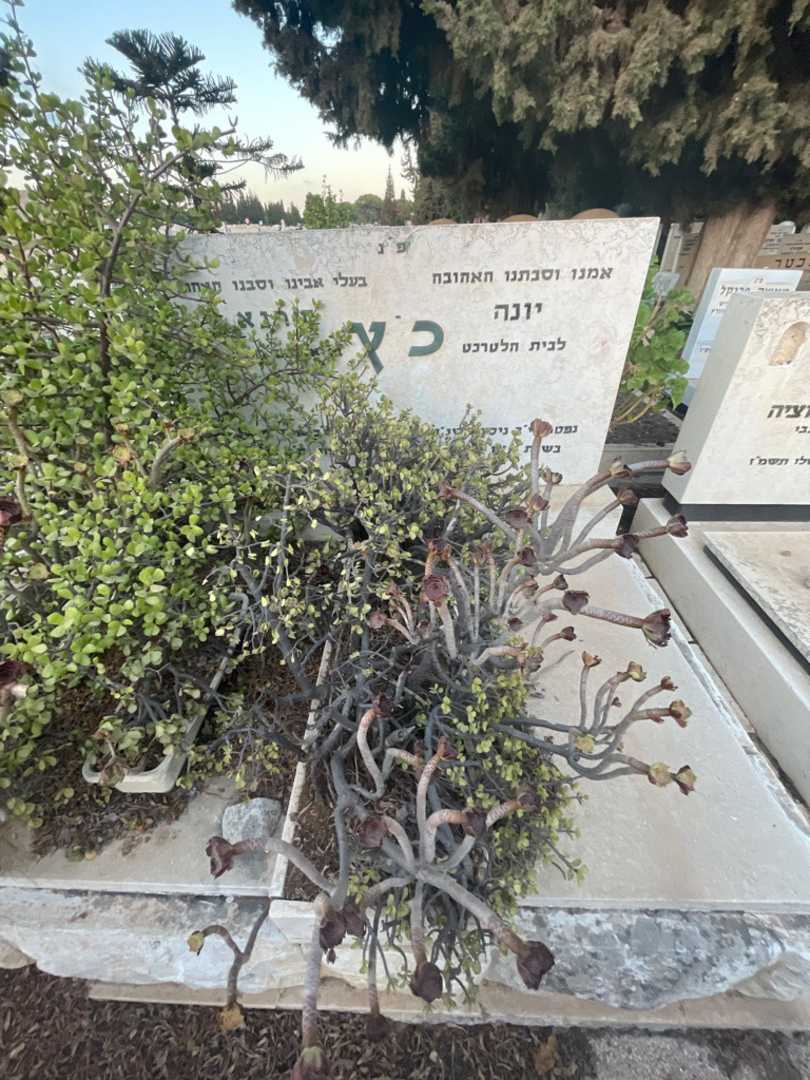 קברו של יונה כ׳ץ. תמונה 1