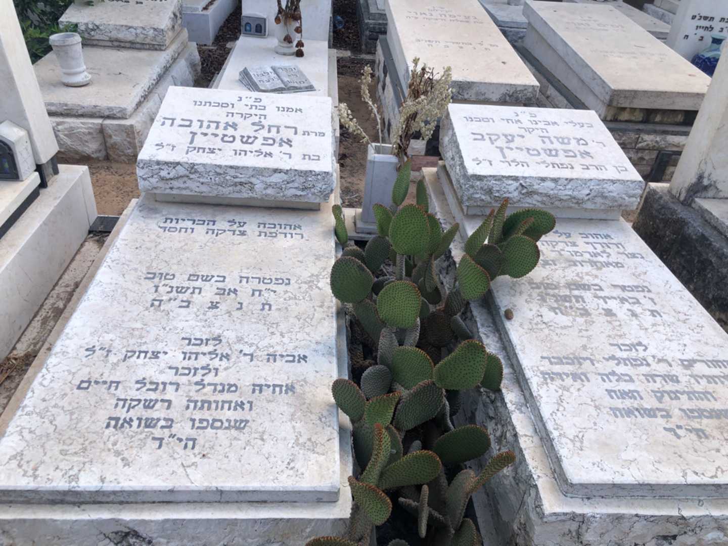 קברו של רחל אהובה אפשטיין. תמונה 2