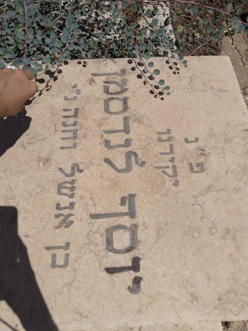 קברו של יוסף לנדסמן. תמונה 2