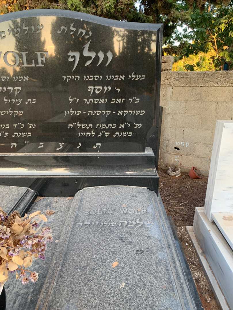 קברו של שלמה יוסף "סולי" וולף. תמונה 2