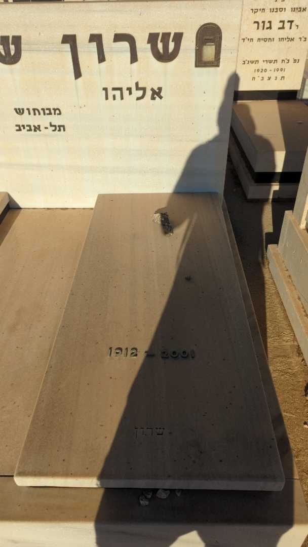 קברו של אליהו שרון שוורץ. תמונה 1