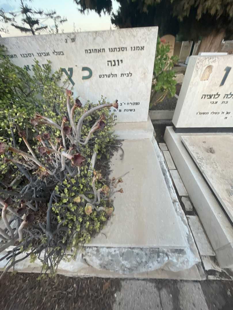קברו של יונה כ׳ץ. תמונה 3