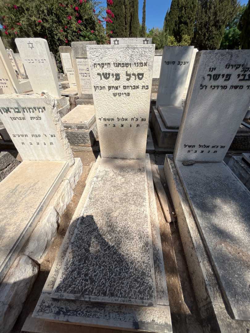 קברו של סרל פישר. תמונה 1