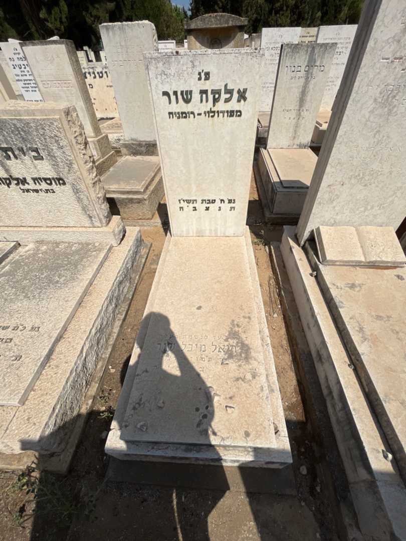 קברו של יחיאל מיכל שור