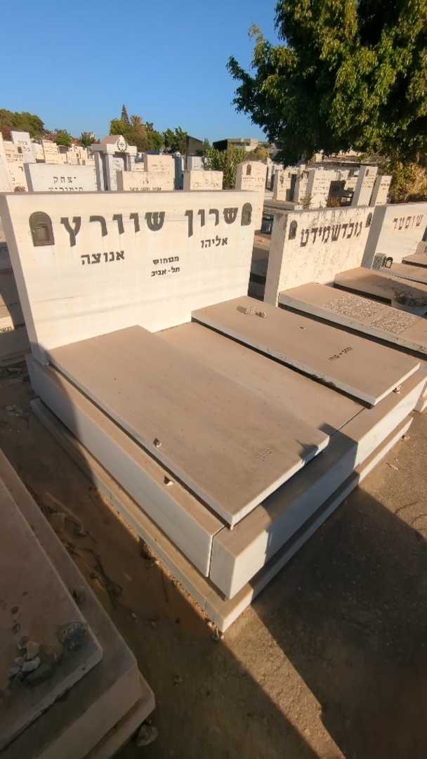 קברו של אליהו שרון שוורץ. תמונה 2