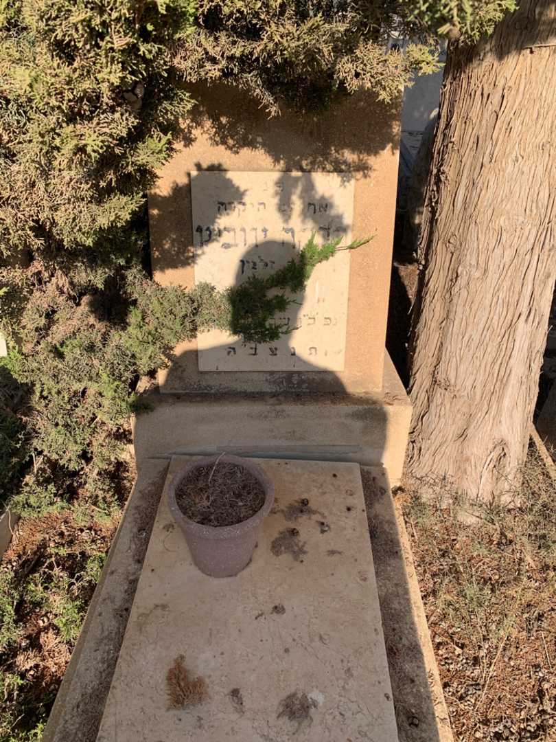 קברו של רבקה יווביץ. תמונה 1