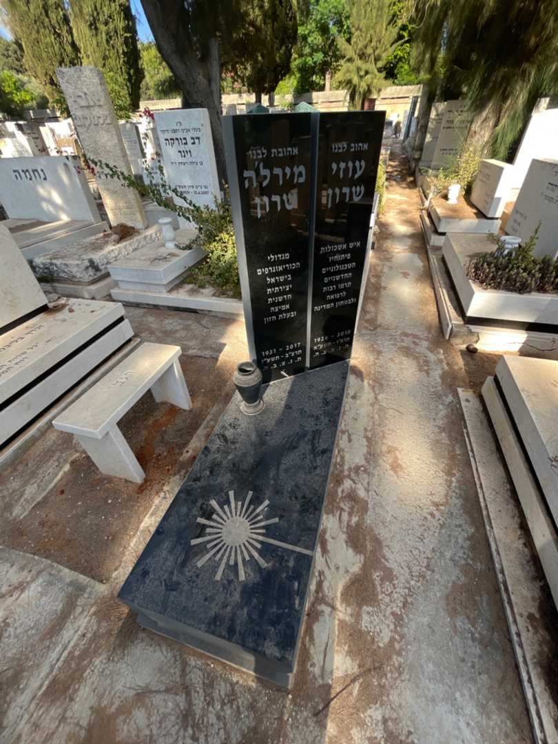 קברו של עוזי שרון