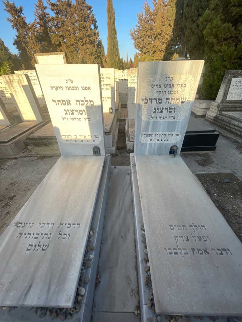 קברו של שמחה מרדכי וסרצוג. תמונה 1