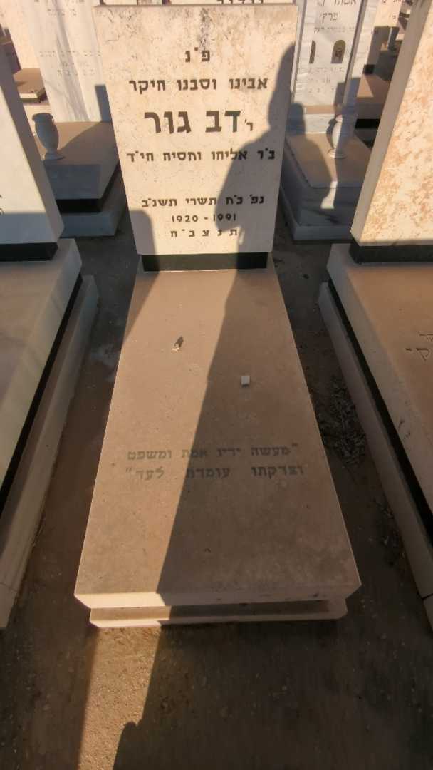 קברו של דב גור