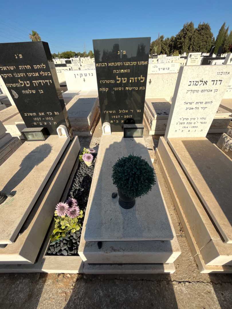 קברו של ליזה טל (מטרגי). תמונה 2