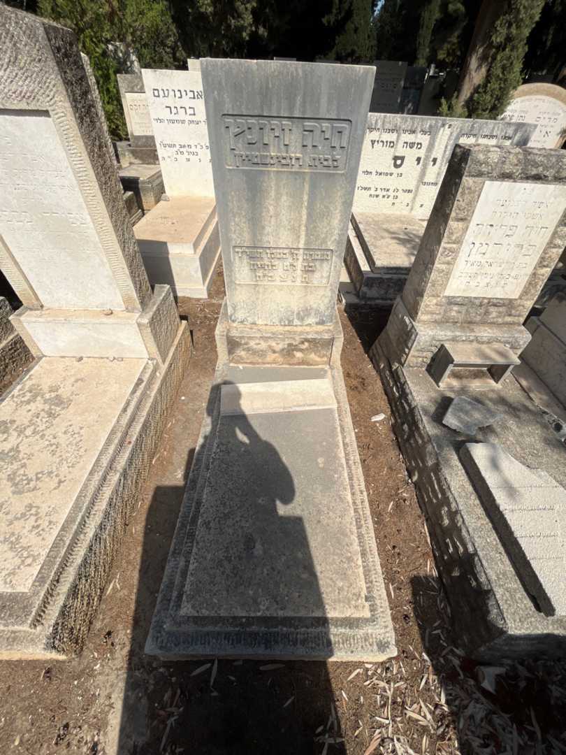 קברו של חיה זיונץ