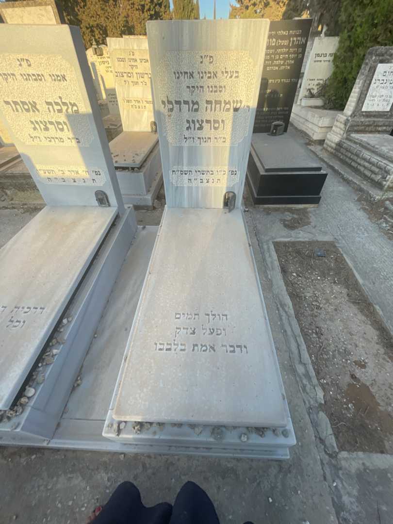 קברו של שמחה מרדכי וסרצוג. תמונה 2